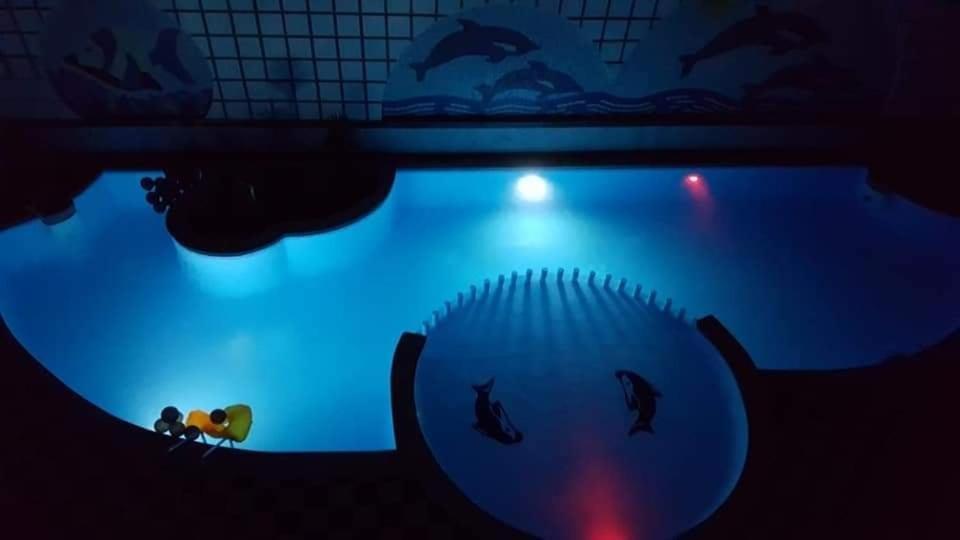 Apartment Apartman Sheraton Plaza 419 Hurghada